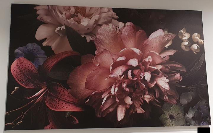 Leinwandbild "Purpurne Blume"