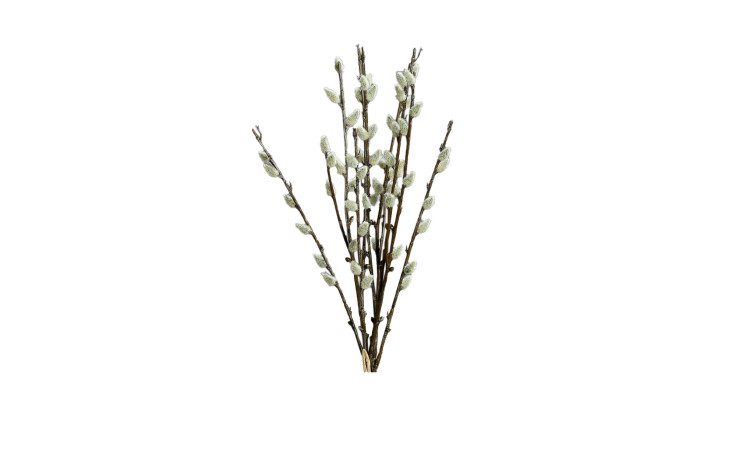 Weidenkätzchenbund  42 cm 