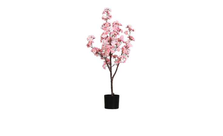 Kirschblütenbaum 100 cm 