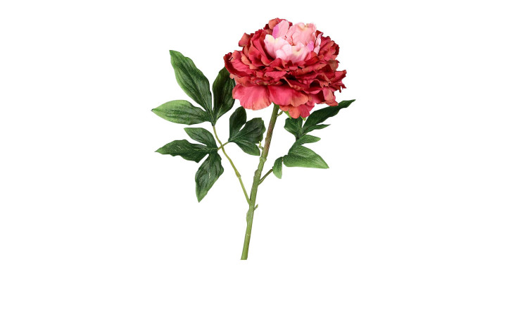 Päonie 60 cm in pink