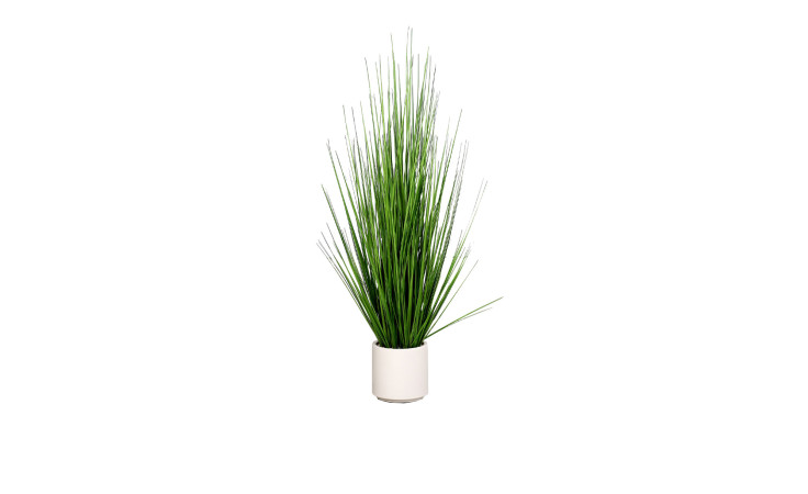 Gras 120 cm