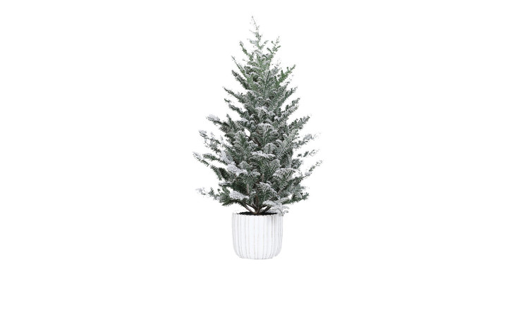 Tannenbaum 65 cm