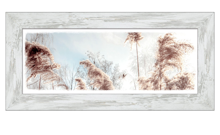 Rahmenbild Dried Fiber 44 x 94 cm. Rahmenbild mit dem Thema - Natur.