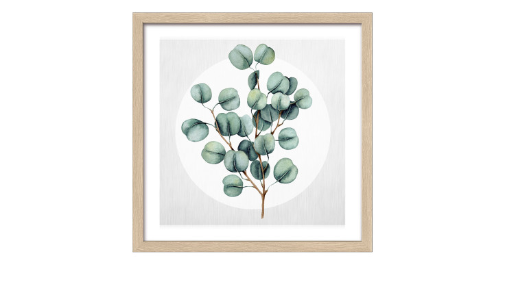 Rahmenbild Different Eucalyptus Br. 33 x 33 cm