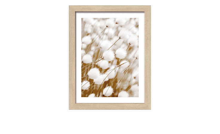 Rahmenbild Dried Fiber IV 24 x 19 cm