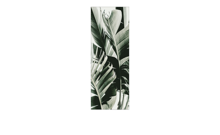 Leinwandbild Jungle Leaves 30 x 80 cm