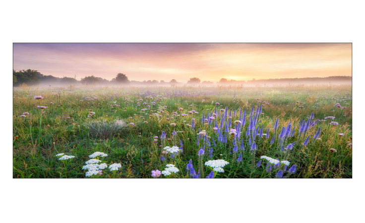 Glasbild Morning Haze 50 x 125 cm