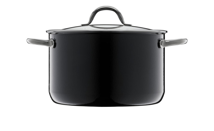 Topf Inspire 24 cm