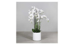 Orchideen-Arrangement 134cm in weiß, auf dem Boden stehend