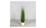 Gras 150 cm