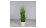 Gras 200 cm