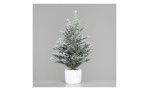 Tannenbaum 55 cm