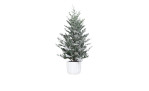 Tannenbaum 65 cm