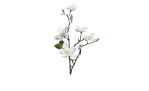 Magnolie 64 cm aus Kunststoff mit weißen Blüten und Applikationen, sowie einen braunen Stiel.