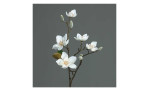 Magnolie 64 cm aus Kunststoff mit weißen Blüten und Applikationen, sowie einen braunen Stiel. Auf einem grauen Hintergrund.