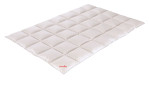 Daunenbett Sinfonie 90 155 x 220 cm 