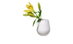 Vase Manufacture Collier 14,5 cm in weiß, Ansicht mit Blume
